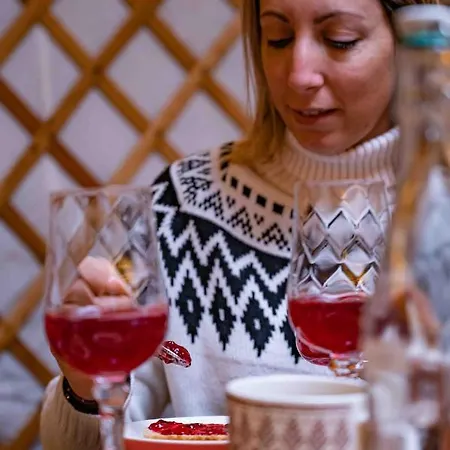 Yurt District Lüks kamp alanı Rovaniemi