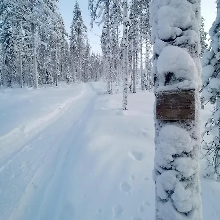 Yurt District *