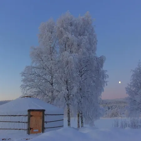 Yurt District Rovaniemi