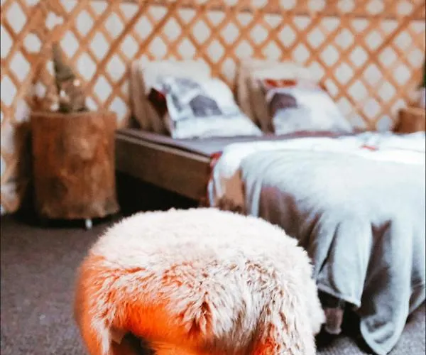 Yurt District * Рованиеми