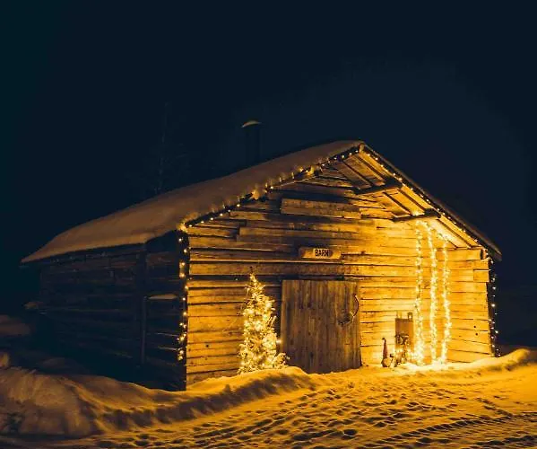 Роскошный шатер Yurt District *