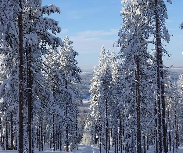 Роскошный шатер Yurt District *
