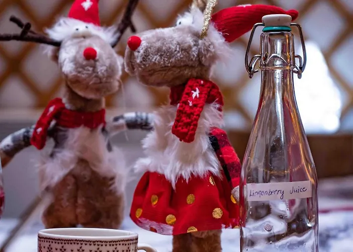 Yurt District Rovaniemi