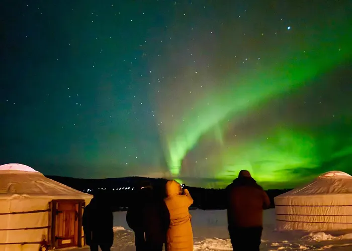 Роскошный шатер Yurt District