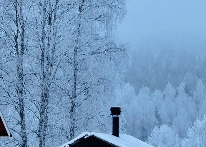 Luxussátor Yurt District Rovaniemi
